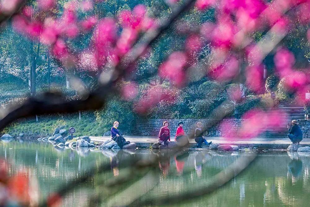 沪江开心词场