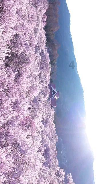 消逝的光芒：信徒