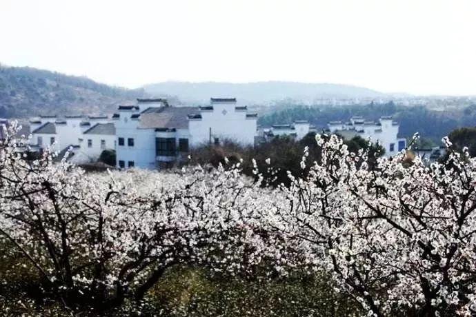 2020年车险没有纸质保单了吗游戏画面