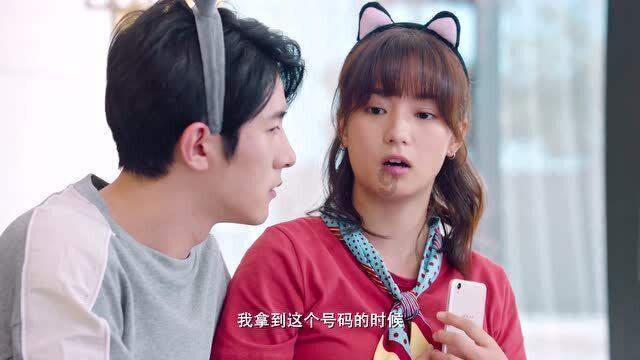 拯救受伤的猫