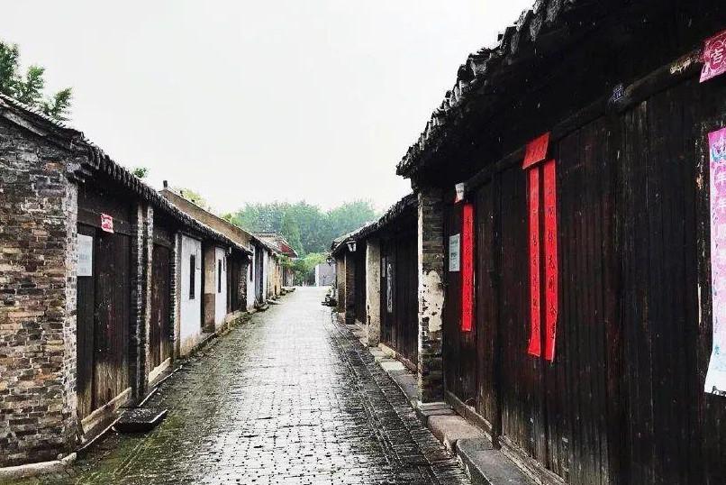 春雨直播app